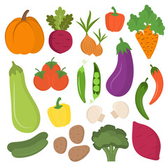 Set of colorful cartoon organic vegetables isolated on white background. Potatoes, pumpkin, zucchini, carrots, onions, eggplant, peppers, tomatoes. Vegetarian food, healthy food, vegan eating.