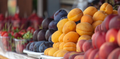 Ripe apricots and fruits on the counter in the market.