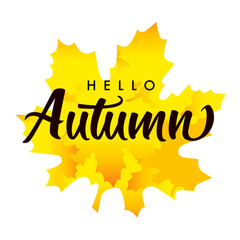 Hello autumn, lettering on yellow maple leaf. Hand written phrase on orange watercolor maple leaf background. Seasonal decorative vector banner