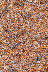 beautiful beach background: small shell rock and stones close-up