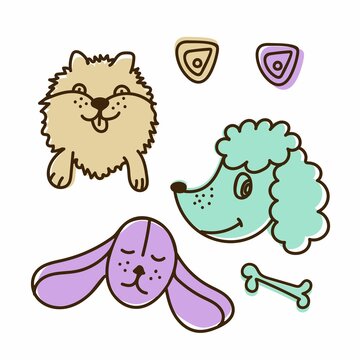 Funny dogs set of 3 on a white background, pomeranian, beagle and poodle vector illustration in a flat style. For use on printing souvenirs, postcards and textiles.