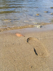 footprints on the beach