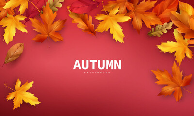Autumn sale falling leaves background nature