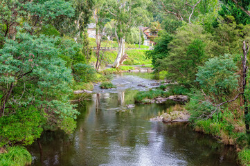 Fototapeta na wymiar Clear water of the upper Yarra River - Warburton, Victoria, Australia