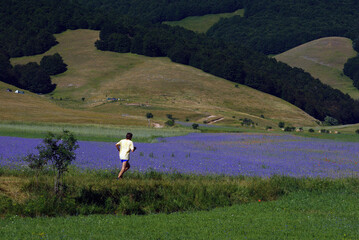 Running man, immersed in the nature of the plateau of Castelluccio da Norcia. Umbria, Italy