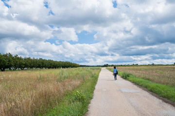 Woman in blue shirt walking on a rural road in summer