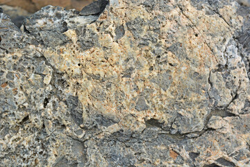 Light gray porous stone texture, close-up