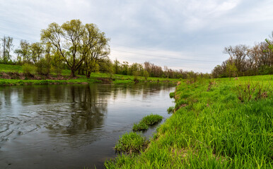 river with meadow and trees around during cloudy springtime day