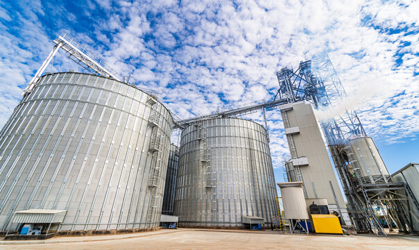 Agricultural silo, foreground sunflower plantations. Building exterior. Storage and drying of grains, wheat, corn, soy, sunflower against the blue sky with white clouds
