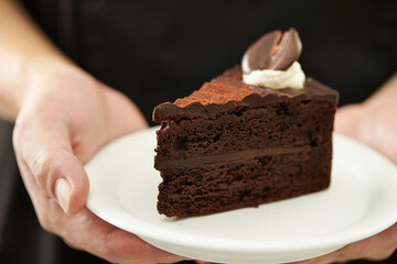 chocolate cake on a plate