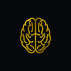 Brain Upper View Outline gold plated metalic icon or logo vector