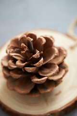 pine cone on wooden background