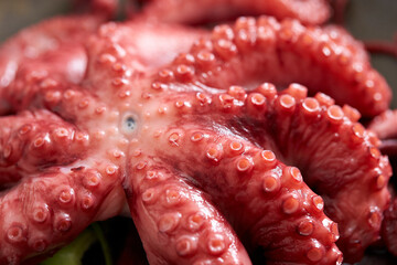 Close up of boiled octopus leg