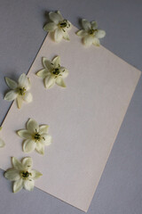 Minimalistic card mockup with white flowers, flower, craft envelope, blossom, flat lay, top view