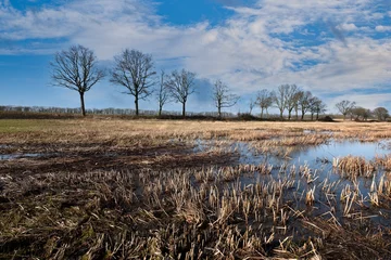 Stoff pro Meter Schokland World Heritage site, Noordoostpolder, Flevoland Province, The Netherlands  © Holland-PhotostockNL