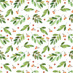 Watercolor seamless pattern. Rowan branches with leaves and berries, Isolated on a white background.