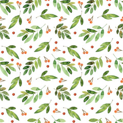 Watercolor seamless pattern. Rowan branches with leaves and berries, Isolated on a white background.