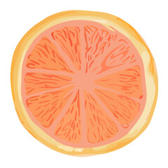 Isolated abstract illustration of an orange on a white background
