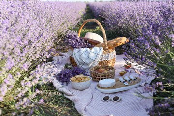 Wicker basket with tasty food for romantic picnic in lavender field