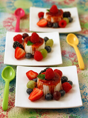 Fresh cheese with berries.