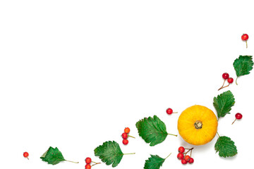 Autumn nature concept. Natural food, harvest with orange pumpkin, fall dried leaves, rowan berries isolated on white background. Beauty bright autumnal nature background. Harvest.