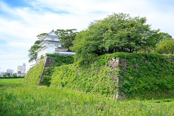 Fototapeta na wymiar 夏の島原城　長崎県島原市　Shimabara castle in summer Nagasaki-ken Shimabara city