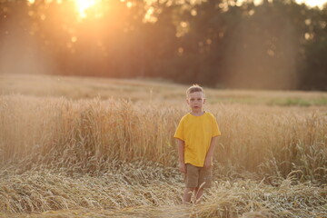 the baby is standing in a field, and a beautiful sunset sun is shining behind him