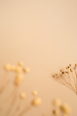 ripe dry herb on beige background. autumn dried flowers of neutral color. natural decor
