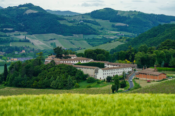 Naklejka premium Vineyards in Oltrepo Pavese, italy, at springtime