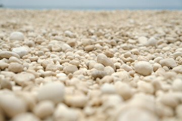 Fototapeta na wymiar White round pebbles.