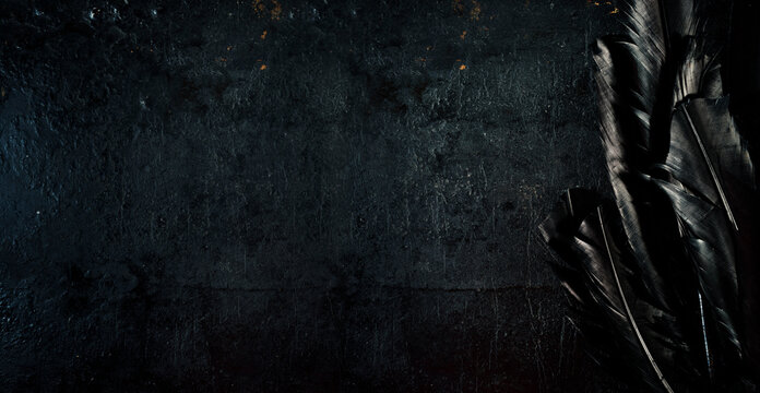 Halloween background with black raven feathers on dark grunge backdrop. Horror gothic abstract design with copyspace. Closeup of bird wing texture.