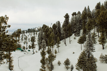 Malam Jabba and Kalam Swat Scenery Landscape