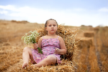 Naklejka na ściany i meble Cute little girl with bouquet of daises sitting on hay stack in harvested yellow wheat field. Summer lifestyle. Child nutrition. Rural scene. Copy space