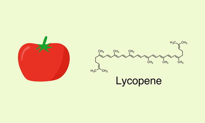 Vector illustration of tomato and lycopene molecule.