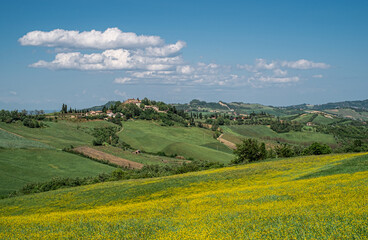 Fototapeta na wymiar The cultivated hills around Castello di Serravalle - Castle of Serravalle in springtime. Bologna province, Emilia and Romagna, Italy