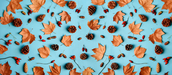 Autumn leaves with acorn and cones composition pattern on pastel blue background from above. Maple...
