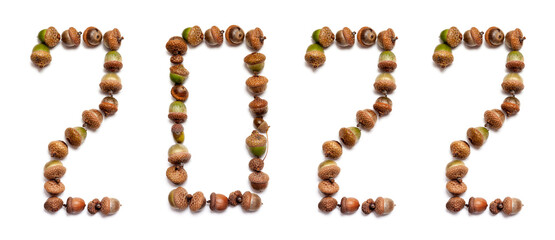2022. Numbers composed of oak acorns