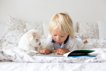 Cute little blond child, toddler boy, reading book with white puppy maltese dog