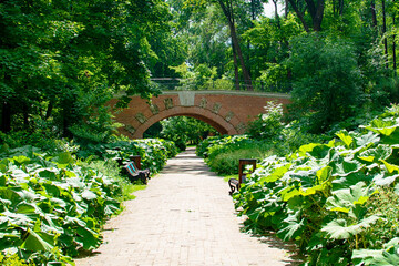 Neskuchny garden. This is the oldest park located on the right bank of the Moscow River.