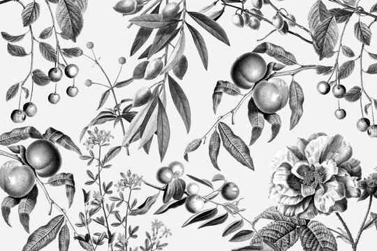 Elegant rose floral pattern vector black and white fruits vintage illustration