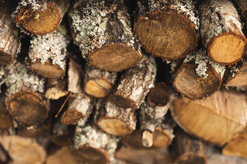 Close up of pile of cut and stacked multiple wooden logs outdoors