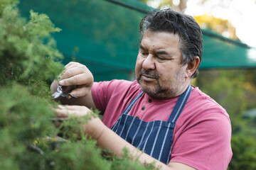 Caucasian male gardener cutting trees at garden centre