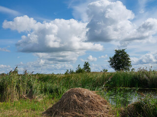 The Weerribben-Wieden National Park with an area of roughly 100 square kilometres is a national park of the Netherlands in the Steenwijkerland municipality of the province of Overijssel.