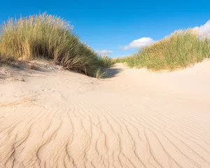 Deurstickers nederlandse waddeneilanden hebben veel verlaten zandduinen uinder blauwe zomerhemel in nederland © ahavelaar