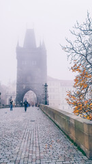Prague city photography - 447681124