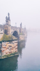Prague city photography - 447681351