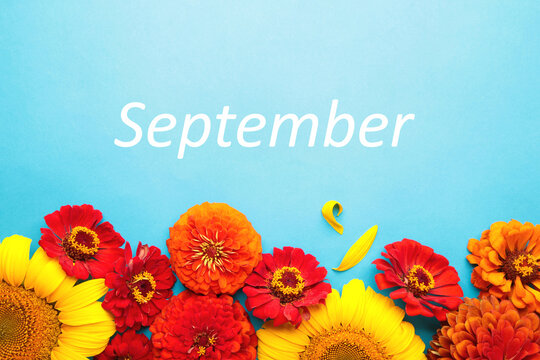 Hello September message with different autumn flowers on blue background.