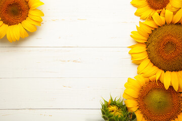 Beautiful fresh sunflowers on white background. Flat lay, top view, copy space. Autumn or summer Concept, harvest time, agriculture. Sunflower natural background.