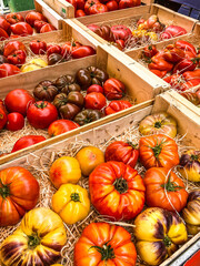 Sell assortment tomatoes at a market place, summertime France