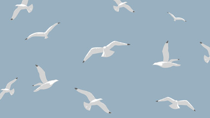 283-gulls-over-the-sea - 447690119